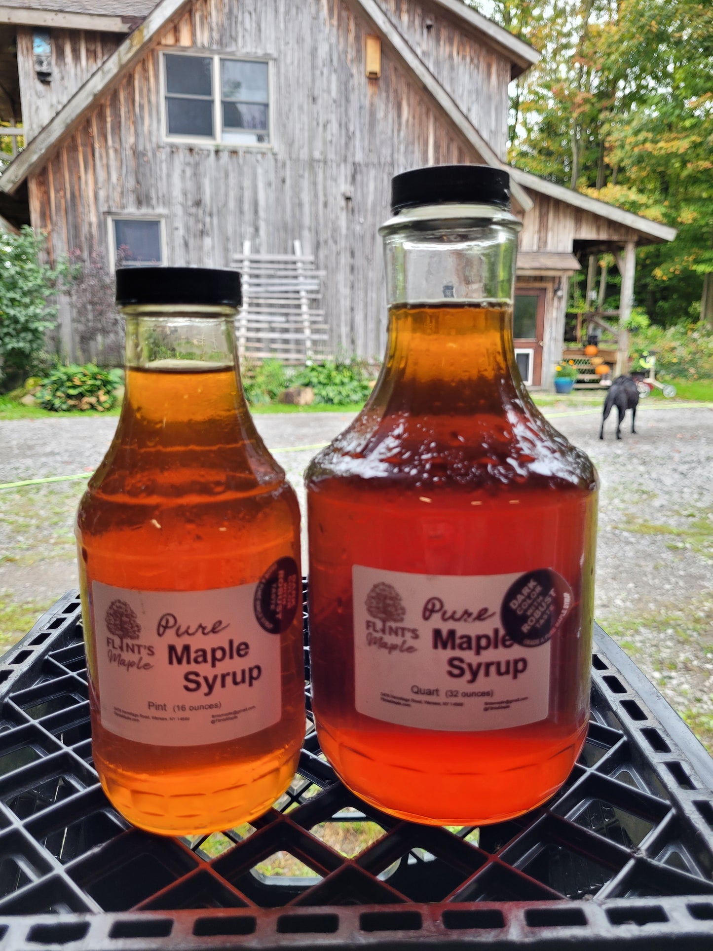Maple Syrup Glass Jugs/Bottles