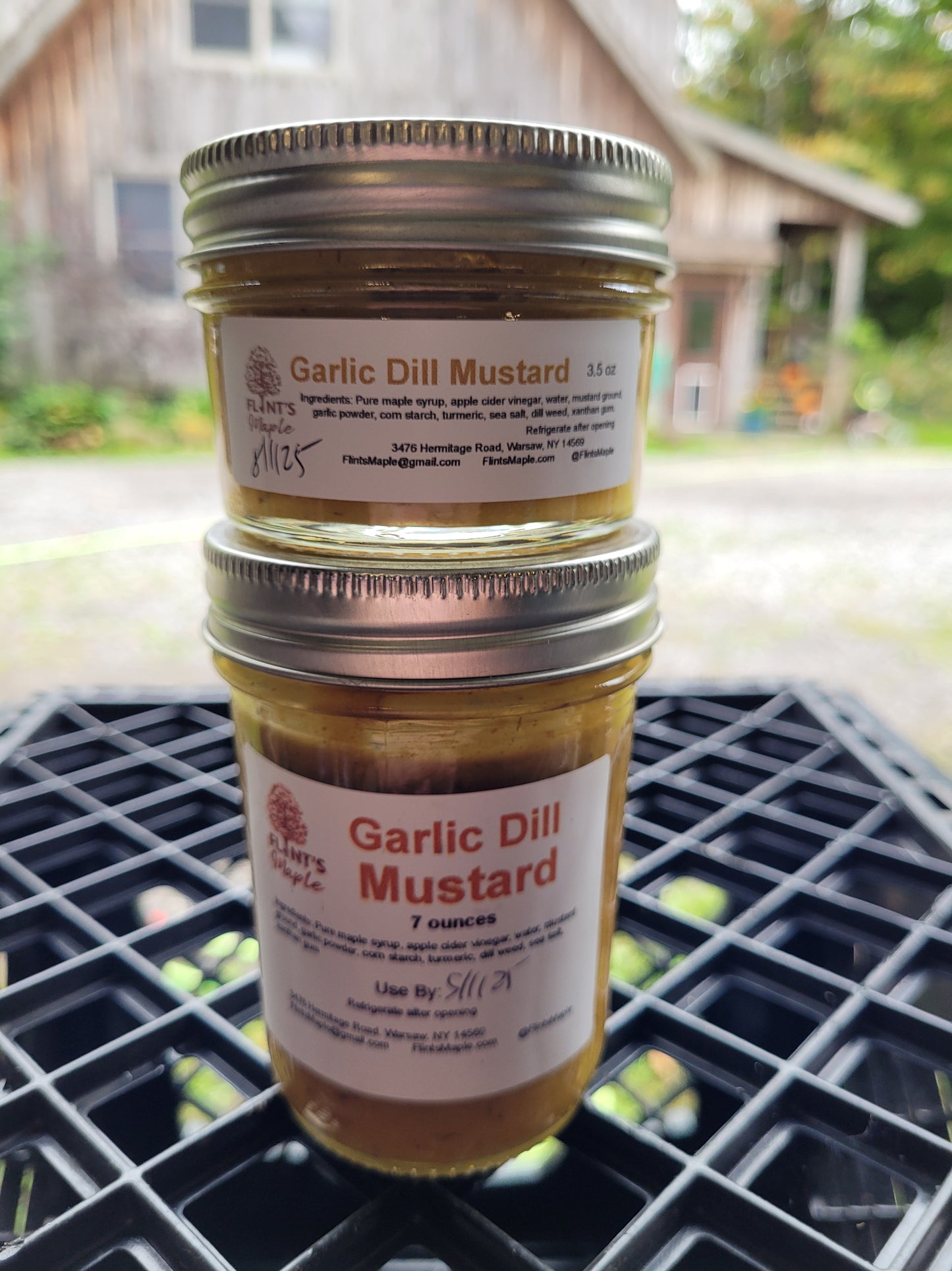 Mustard